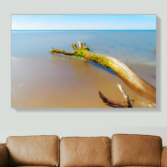 Ast im Meer am Ostsee Strand | Wandbild Deutschland